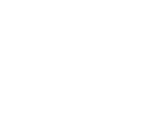 fbplayer.gif
